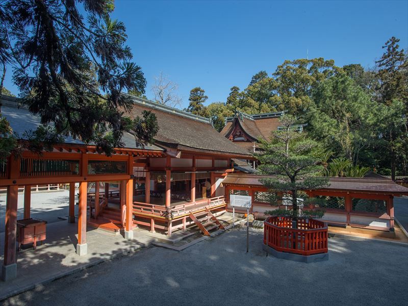 【開運！ 神社情報2022】初詣のススメ。スポットその③『香椎宮』