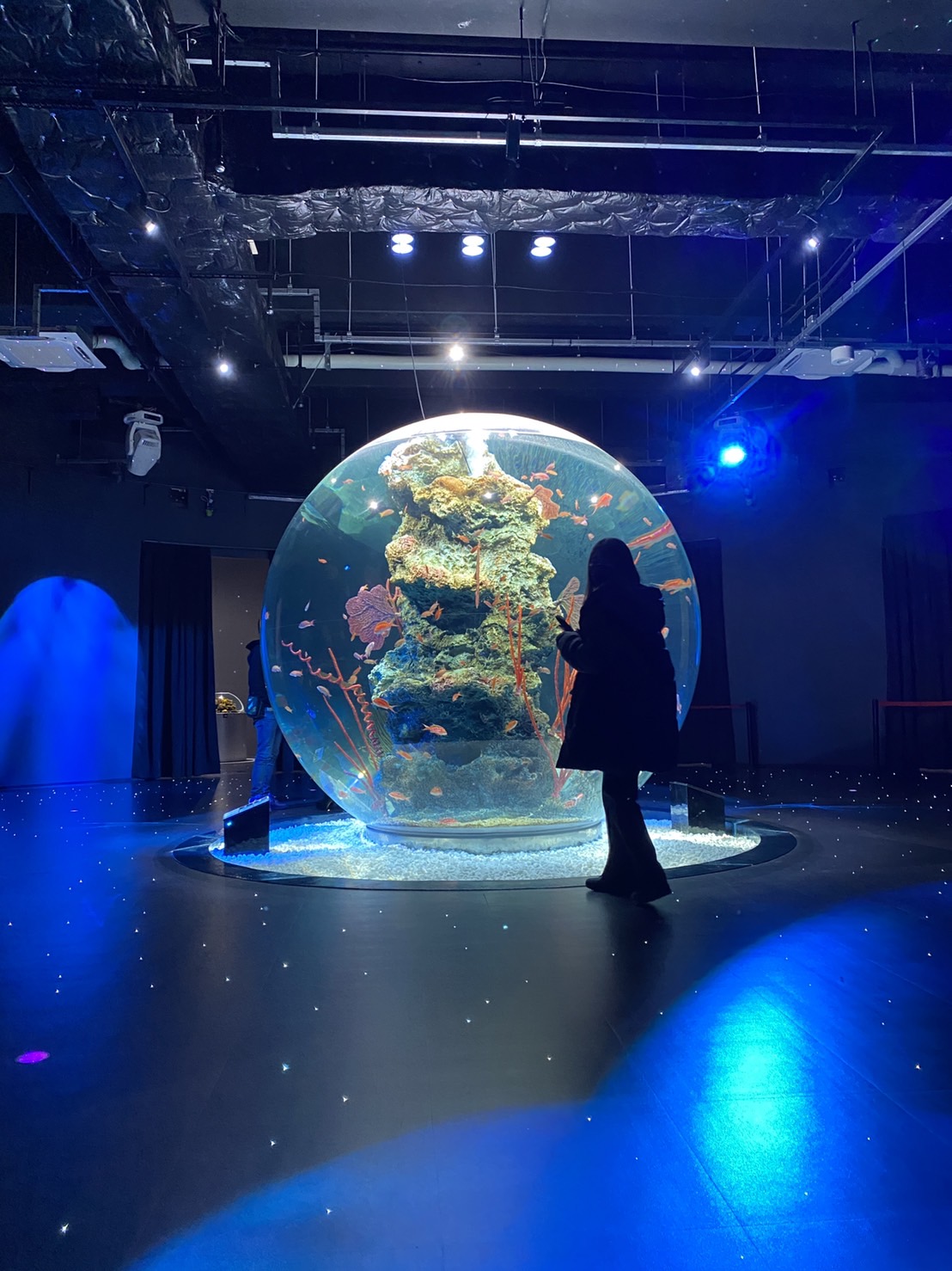 【インスタ映え必須！！】異空間なアートな体験を！水族館？アート？フォトジェニックなスポットはここ！！ATOA！