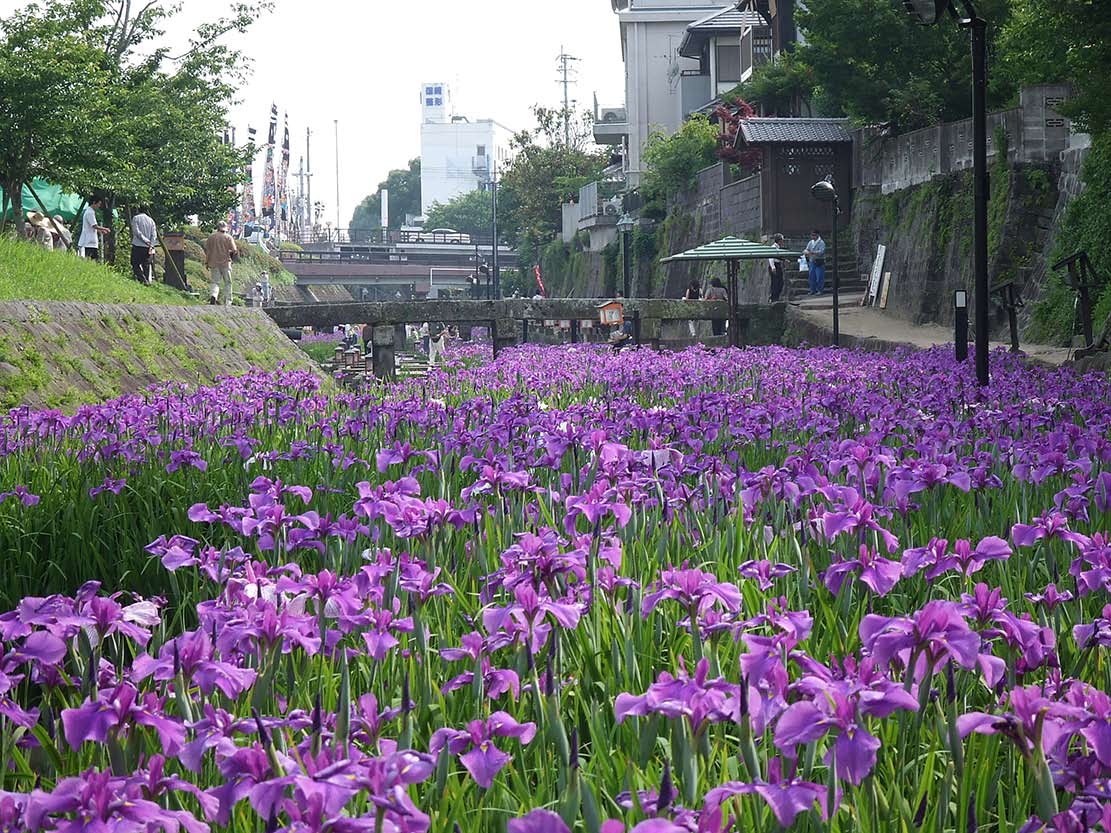 【熊本の暮らしってどう？vol.3】（玉名市）熊本移住の先輩に聞く！愉しきイジュカツのススメ