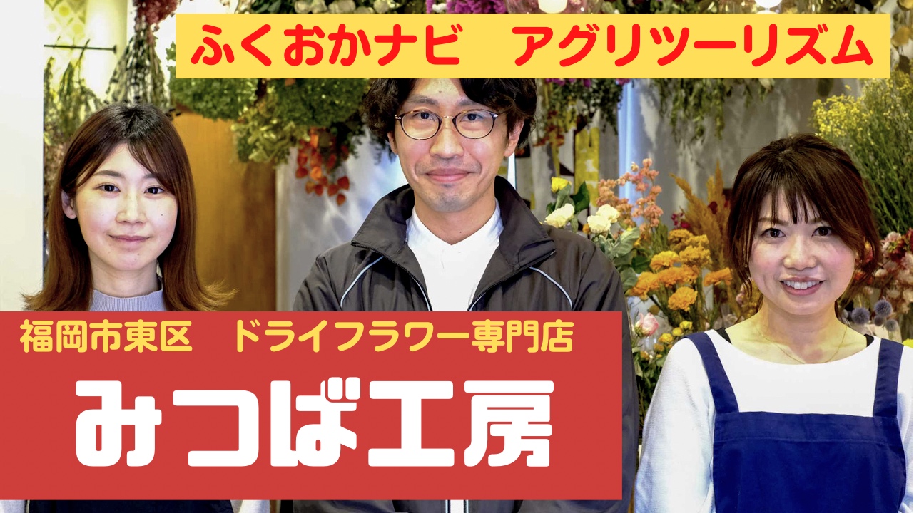 ふくナビアグリツーリズム　東区下原の『みつば工房』でドライフラワーに癒される！