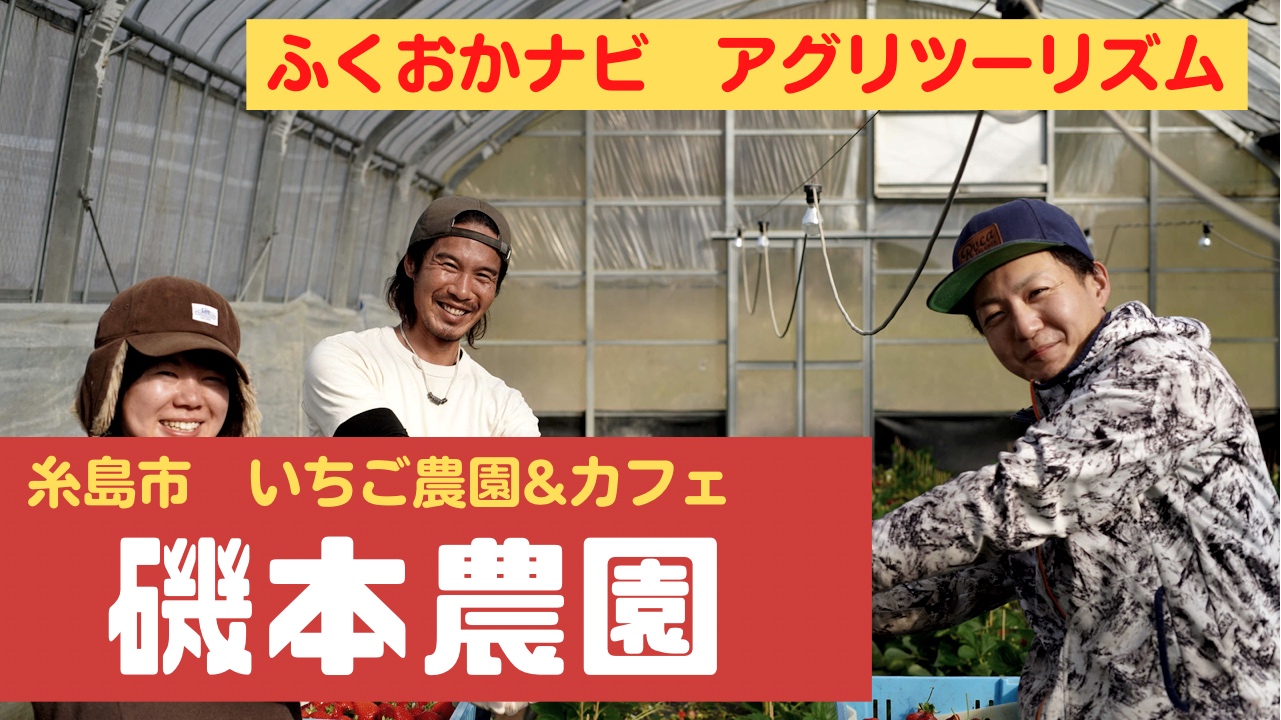 【ふくナビちゃんねる】糸島でツヤツヤのいちご狩り体験！糸島市『磯本農園』