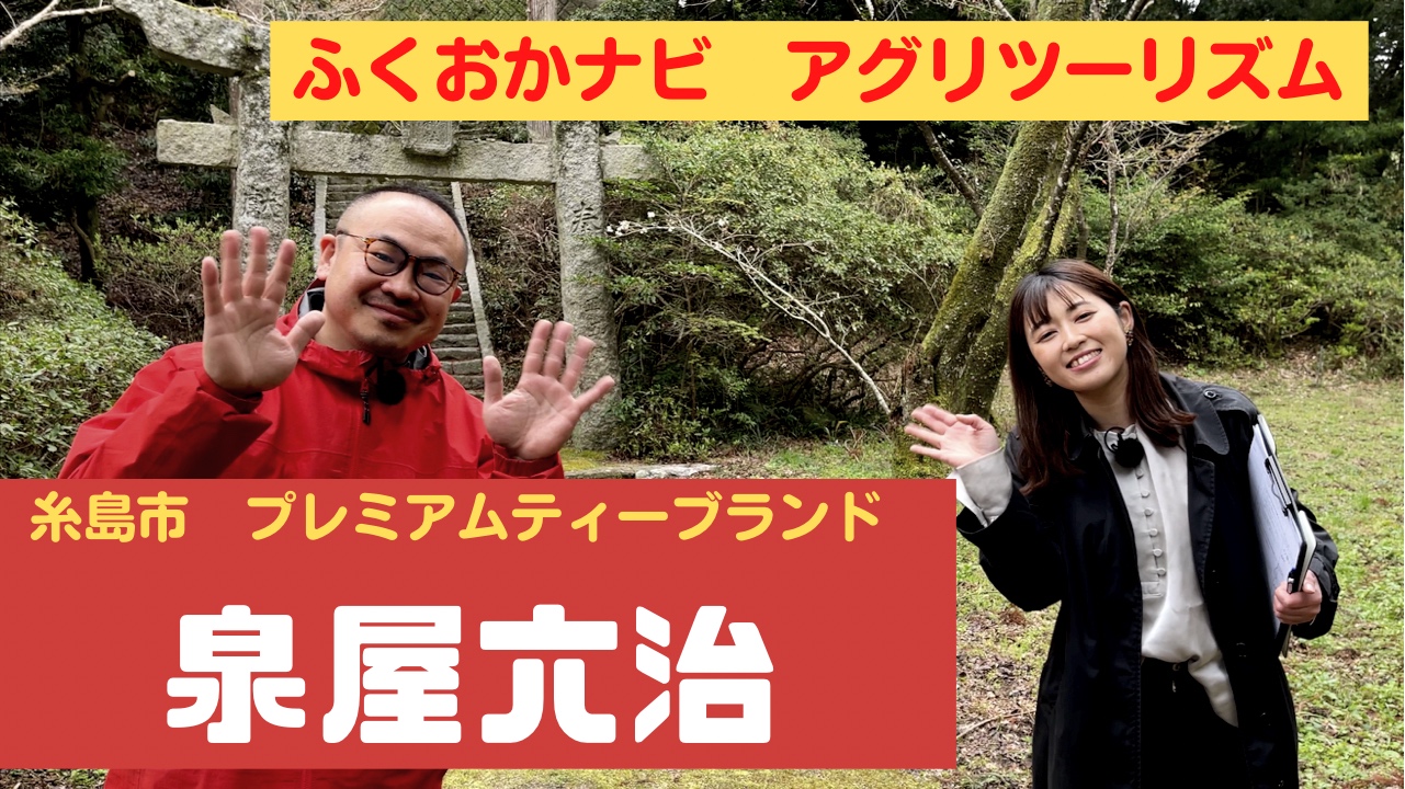 ふくナビアグリツーリズム　糸島市の『泉屋六治』で特別なシナモンティーを飲む！