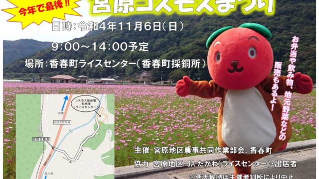 【香春町】今年で最後！『宮原コスモスまつり』にお越しください！