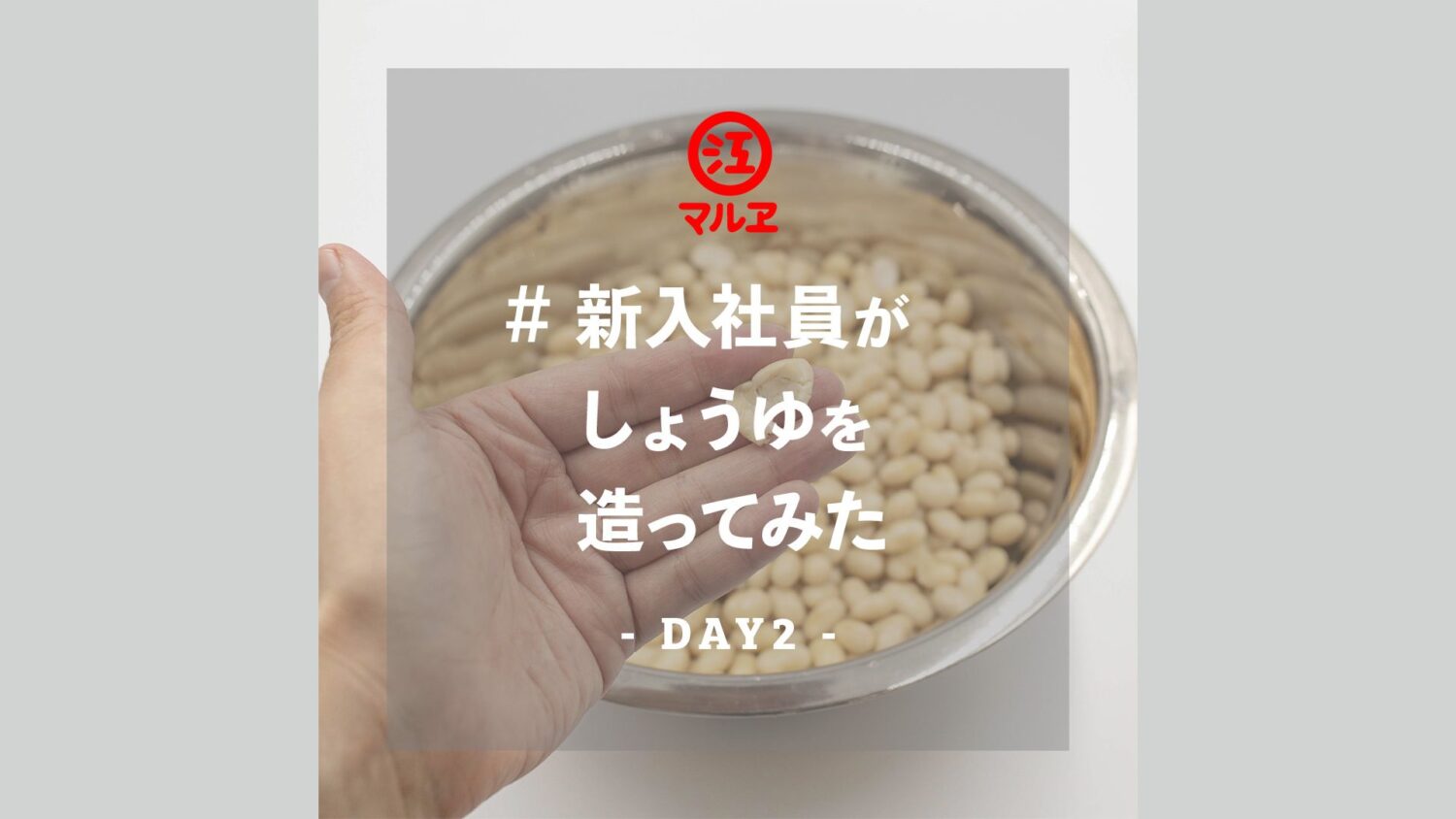 【老舗醸造メーカー マルヱ醤油】#新入社員がしょうゆを造ってみた – DAY2～DAY4 –
