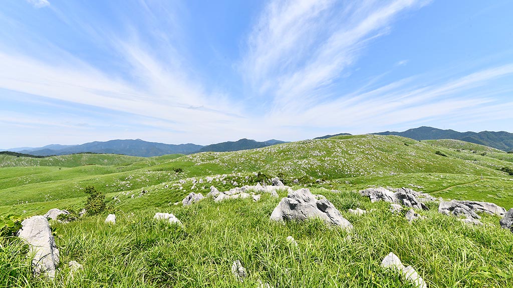 【山口つながる案内所】山口県のおすすめスポットをご紹介！「秋吉台（美祢市）」