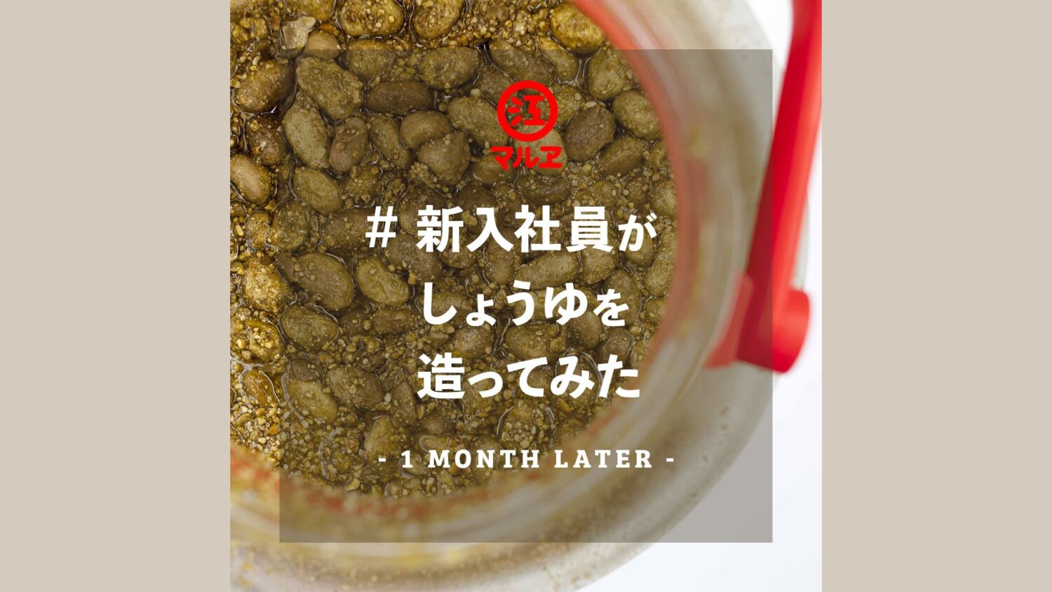 【老舗醸造メーカー マルヱ醤油】#新入社員がしょうゆを造ってみた – 1month later –