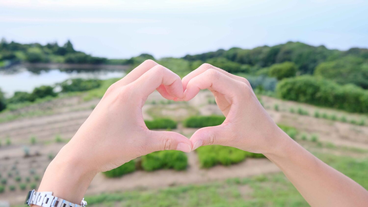 【山口つながる案内所】山口県のおすすめスポットをご紹介！「棚田の花段（長門市）」