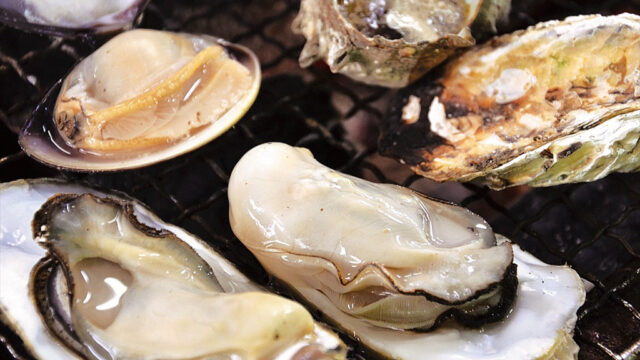 【糸島の魚を食べよう】日本有数の好漁場！魚に貝に絶品ぞろい