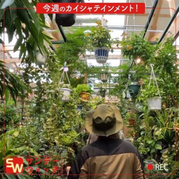 日曜日の朝はRKB！『サンデーウォッチ』イオン九州の新業態GREEN PICNIC糸島の開業までを独占取材！