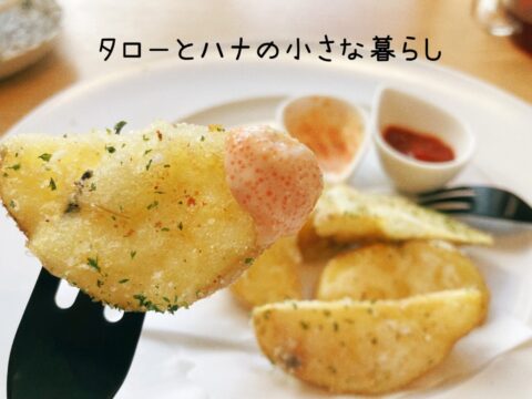 【雑貨店ハウズスタッフコラム】ゆったりと、こころを整える。ハウズキッチンで♪