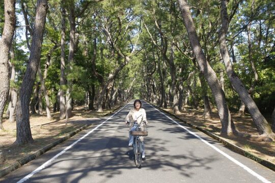 【GOTO ASOBI】(小値賀町編）～レンタサイクルで島内を一周①～ 『姫の松原』を走る！