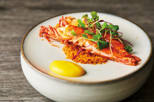 【糸島の魚を食べよう】旬の香りや食感まで余すことなく伝える『L’ARTISTA（ラルティスタ）』