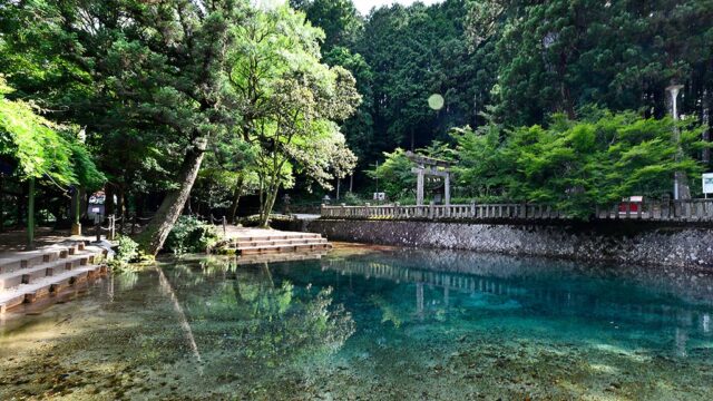 【山口つながる案内所】山口県のおすすめスポットをご紹介！「別府弁天池（美祢市）」