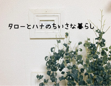 【雑貨店ハウズスタッフコラム】元気をたっぷりチャージ❣️　一年の良いスタートを👍