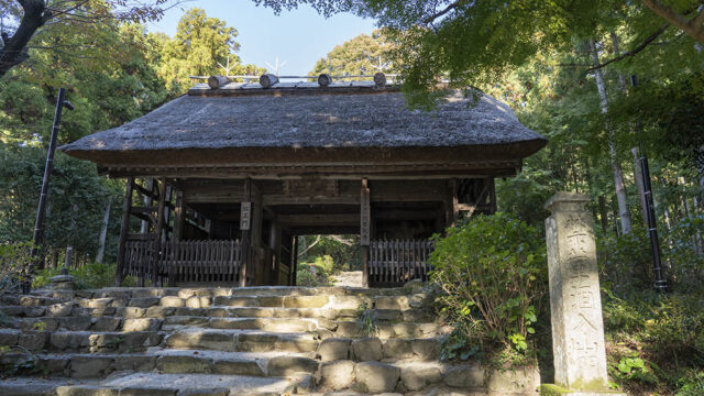 【山口つながる案内所】山口県のおすすめスポットをご紹介！「東大寺別院阿弥陀寺（防府市）」