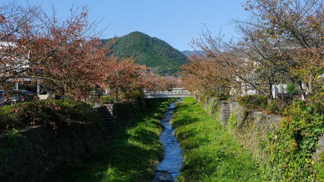 【山口つながる案内所】山口県のおすすめスポットをご紹介！「一の坂川（山口市）」