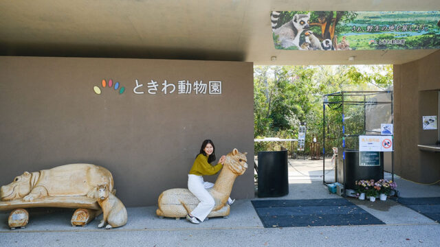 【山口つながる案内所】山口県のおすすめスポットをご紹介！「ときわ動物園（宇部市）」