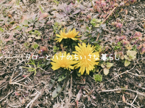 【雑貨店ハウズスタッフコラム】カラダも少しずつ春じたく♪