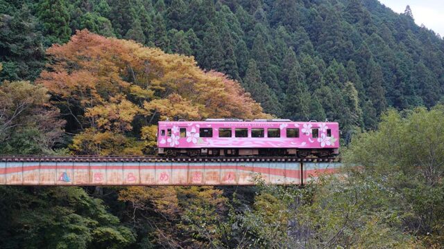 【山口つながる案内所】山口県のおすすめスポットをご紹介！「錦川鉄道錦川清流線（岩国市）」