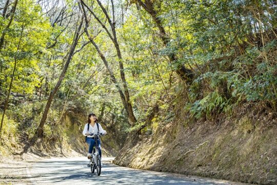 『来なっせ、北熊本！』 ～新玉名駅、E-bikeレンタル始めます～【木漏れ日の差す林道を通って歴史探索！“山”コース】