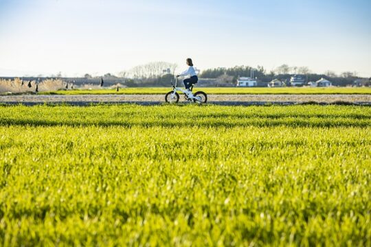 『来なっせ、北熊本！』 ～新玉名駅、E-bikeレンタル始めます～【偉人が暮らした美しき郷を訪ねる“田園”コース】】