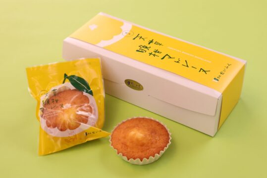 筑後15市町村のたからもの『エモスポ』プレゼントキャンペーン【柳川市・大牟田市編】
