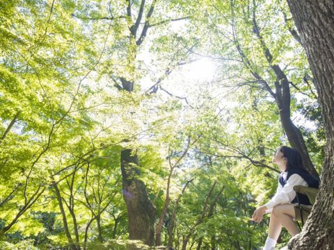 【チェアリングでくつろぐかすや vol.7】岳城山の麓に広がる深い森に包まれた緑豊かなエリア