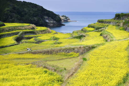 【UWABA BOOK vol.1】愛を呼ぶ、絶景棚田