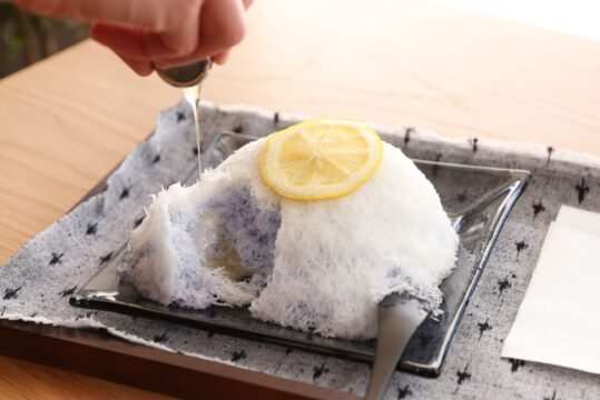 【広川町】久留米絣の老舗工房が挑む絣イノベーション『SAKATA CAFE』