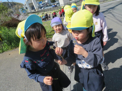 【ふくおか子育てBOOK2023】子どもたちが自ら育つ環境 自然と共に心地よく生活できる保育園！『西都保育園』
