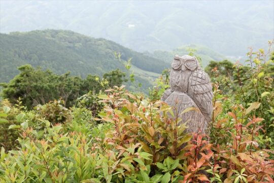 【八女市】筑後平野を一望するパノラマビューは必見！『飛形山(とびかたやま)』