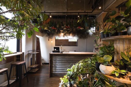 【植物と雑貨とDIYのお店】Renoplus＋　8月4日（土）グランドオープン！～鹿児島市～