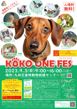 【大分イベント】楽しみながら学べるイベントKOKO ONE FES開催！
