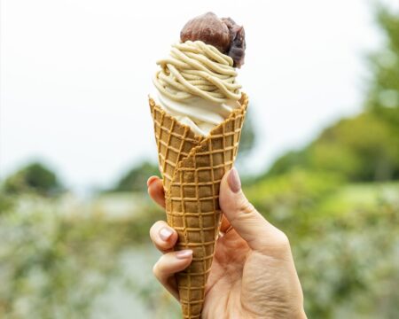【愛しき山鹿探訪】栗好きにはたまらない和栗カフェ『栗と空（くりとそら）』
