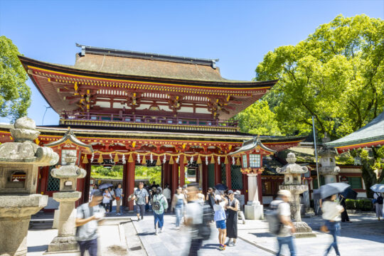 【神社特集｜太宰府天満宮】124年ぶりの『御本殿』大改修に伴い建設された3年間限定の貴重な『仮殿』に参拝しよう。