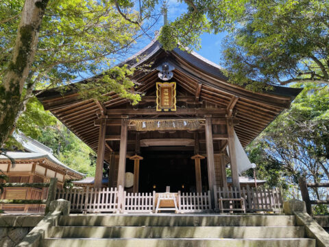 【神社特集｜志賀海神社】これからの新しい人生を見守ってくれる、船出の神様。