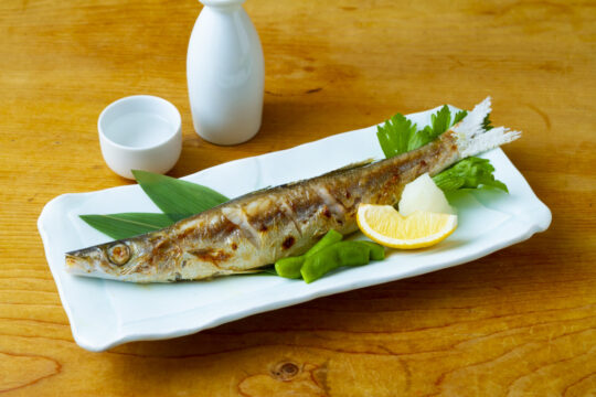 『ふくおかの魚を食べようvol.14』うまい地魚を食べるならココへ～博多漁家 炉ばた焼 磯貝 天神店～