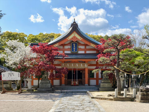 【神社特集｜紅葉八幡宮】紅葉に参れば万事吉　ご利益多彩な神社