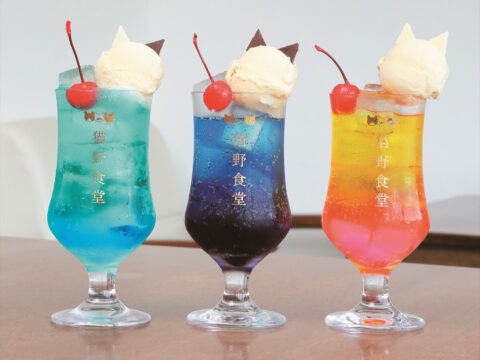 【おでかけ佐賀】猫愛溢れるほっこりレトロな空間『猫野食堂』