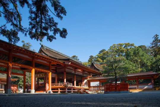 【神社特集｜香椎宮】悠久の時を超え「愛」をつないできた「夫婦の宮」香椎宮