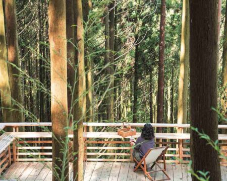 【糸島の魅力】深呼吸したくなる、のどかな景色…体験型観光農園『白糸の森』