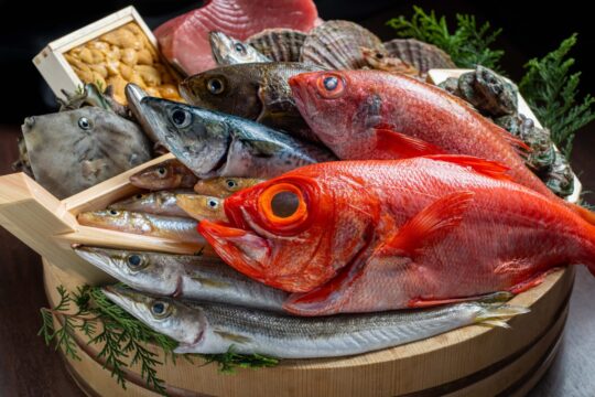 『ふくおかの魚を食べようvol.57』豊富な魚介料理は毎日通っても飽きない～よか魚でうまかもん 博多 萬漁箱～