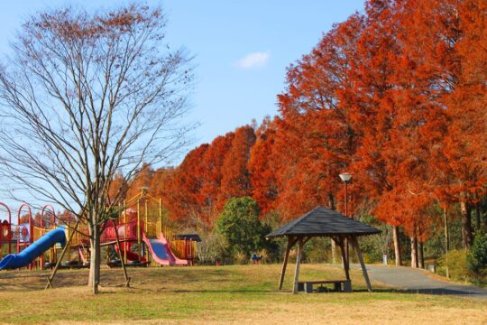 【築上町】家族揃って秋を探しに『メタセの杜』