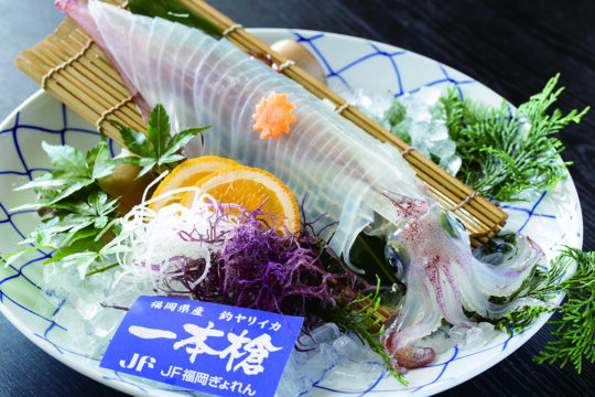 『ふくおかの魚を食べようvol.149』玄海灘を眺めながら頬張る海の幸～海辺の料理旅館  はつしろ～