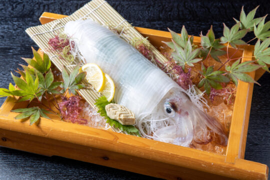 『ふくおかの魚を食べようvol.151』獲れたての『一本鎗』をまるごと握りに～寿し豊～