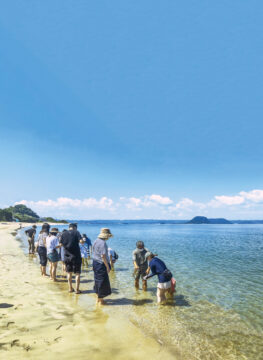 【三ツ矢青空たすき】糸島の自然と人の魅力がつまった体験プログラムがいっぱい！
