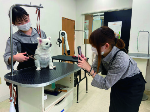 サロンに滞在中の愛犬の様子を動画や写真でプレゼント【ドッグワン】