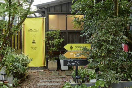 ワンちゃんと遊べるドッグカフェ。｜『Bon Deli/DOG&DAY’s cafe』（春日市惣利）