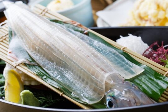【JR博多シティのおいしいニュース vol.6】ワクワクだらけの飲食ゾーン。JRJP博多ビル1Fの『河太郎』、2F『博多ワイン醸造所 竹乃屋』へGo！
