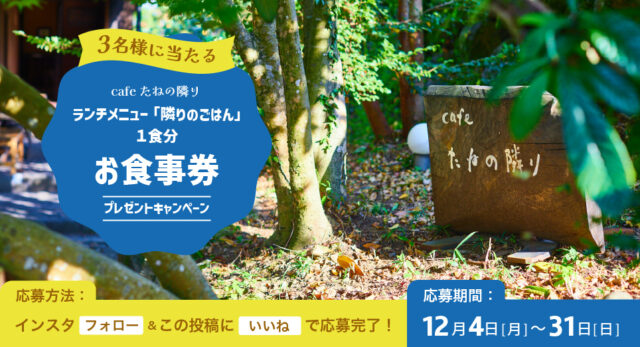抽選で3名様にプレゼント！『cafe たねの隣り』の【ランチメニュー「隣りのごはん」お食事券】by日産福岡販売株式会社